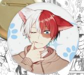 Значок Моя геройская академия Шото Тодороки Boku no Hero Academia 000502