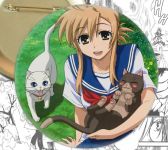 Значок аниме Nyan Koi! 000530