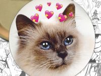 Значок Cats 000360