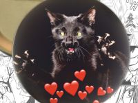 Значок Cats 000361