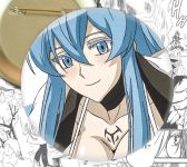 Значок Есдес Вбивця Акамі! Akame ga Kill! 002634