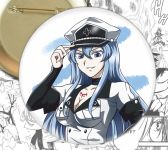 Значок Есдес Вбивця Акамі! Akame ga Kill! 002640