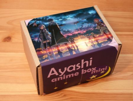 Аниме бокс Мастер меча онлайн Sword Art Online мини