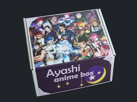 Аніме бокс Хантер х Хантер Hunter x Hunter міді 