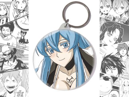 Брелок Есдес Вбивця Акамі! Akame ga Kill! BR-58-002634 