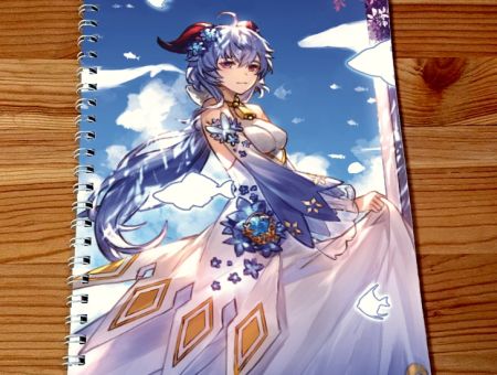 Скетчбук Гань Юй Геншин Імпакт Genshin Impact SKBK-234