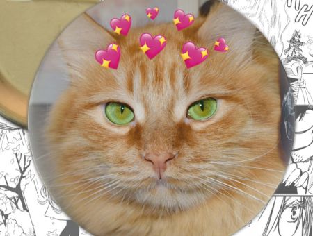 Значок Cats 000359