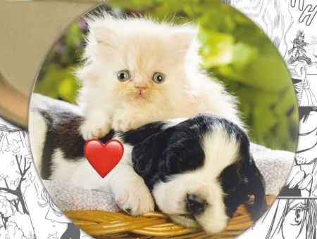 Значок Cats 000366