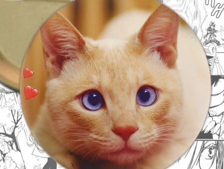 Значок Cats 000367