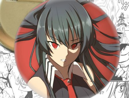 Значок Вбивця Акамі! Akame ga Kill! 002611