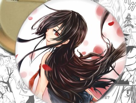 Значок Вбивця Акамі! Akame ga Kill! 002614