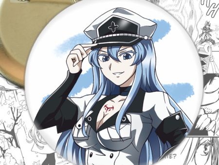 Значок Есдес Вбивця Акамі! Akame ga Kill! 002640