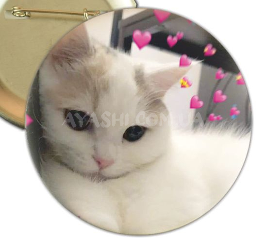 Значок Cats  000254 Значок Cats  000254